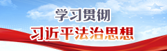 学习贯彻习近平法治思想专题