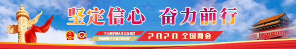 2020年全国两会专题