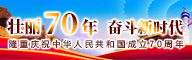 壮丽70年奋斗新时代专题