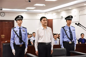 国家能源局原局长努尔·白克力受贿案一审开庭