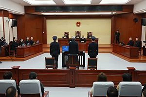 甘肃省人民政府原党组成员、副省长杨子兴受贿、利用影响力受...