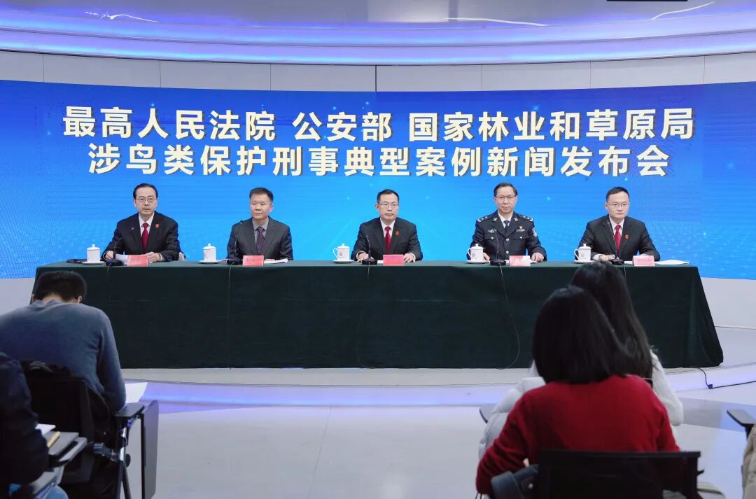 涉鸟类保护刑事典型案例新闻发布会