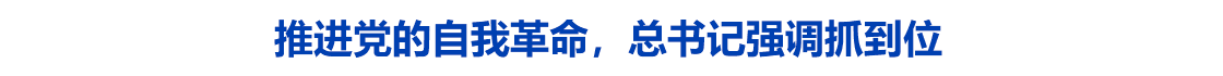 推进党的自我革命，总书记强调抓到位