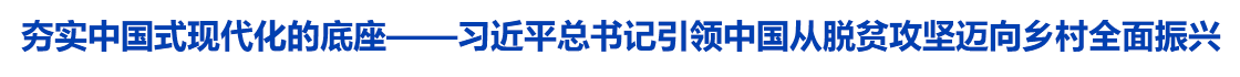 夯实中国式现代化的底座——习近平总书记引领中国从脱贫攻坚迈向乡村全面振兴