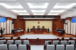 犯罪嫌疑人张青民贷款诈骗、张淑民洗钱违法所得没收案一审宣...