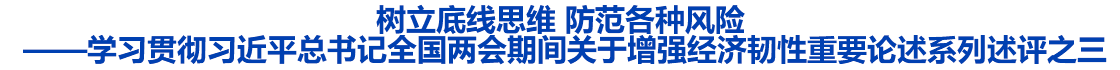 学习贯彻习近平总书记全国两会期间关于增强经济韧性重要论述系列述评之三