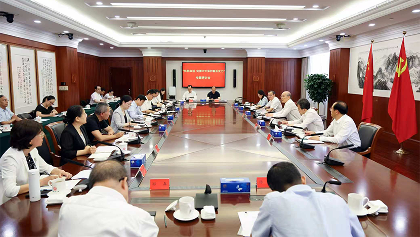 最高法召开未成年人保护专题研讨会  强化协同共治  促推六大保护...