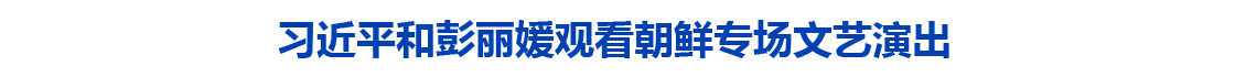 习近平和彭丽媛观看朝鲜专场文艺演出