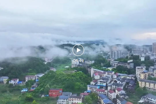 中国法院“二十四节气”——小暑·猕猴桃还是想请大伙尝一尝