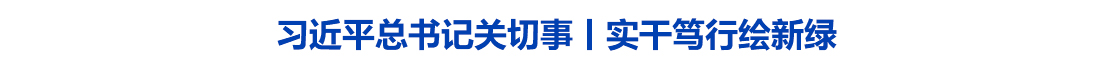 习近平总书记关切事｜实干笃行绘新绿