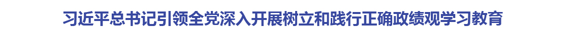 习近平总书记引领全党深入开展树立和践行正确政绩观学习教育