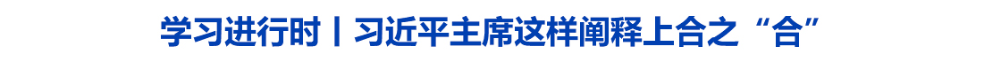 学习进行时丨习近平主席这样阐释上合之“合”