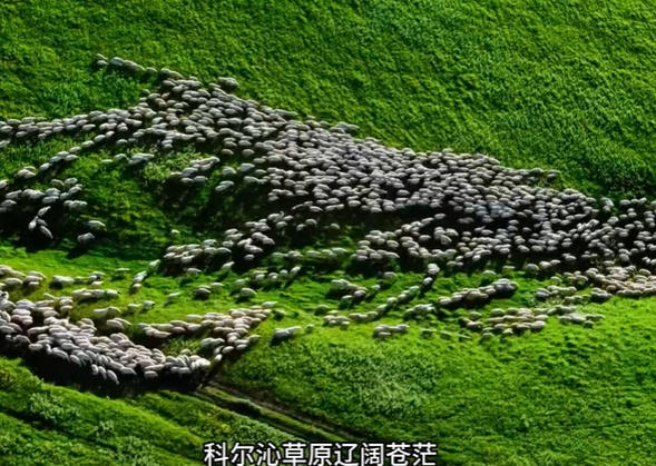 中国法院“二十四节气”——处暑·谢谢您，没让我上“黑名单”