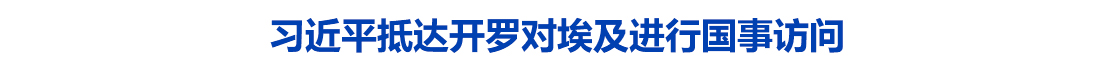 习近平抵达开罗对埃及进行国事访问