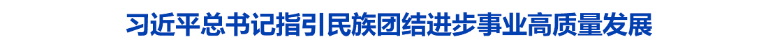 习近平总书记关于加强和改进民族工作的重要思想指引民族团结进步事业高质量发展
