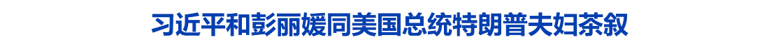 习近平和彭丽媛同美国总统特朗普夫妇茶叙