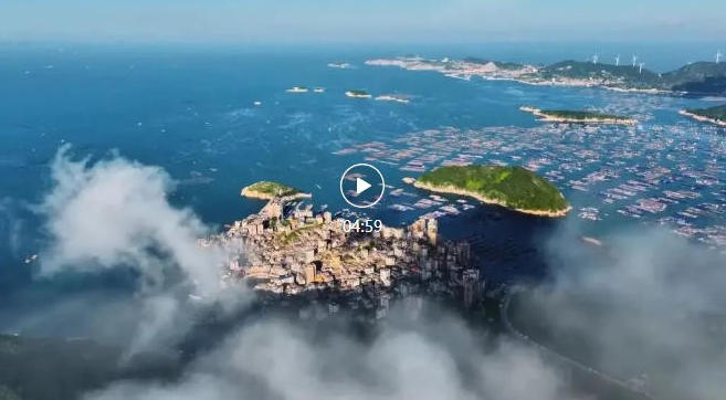 中国法院“二十四节气”——寒露·“青禾”已露尖尖角