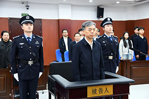 十四届全国政协教科卫体委员会原副主任杨小伟受贿案一审宣判