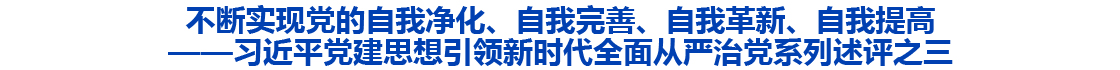习近平党建思想引领新时代全面从严治党系列述评之三