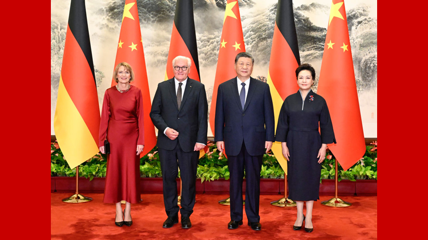 习近平同德国总统施泰因迈尔会谈