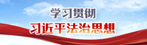 学习贯彻习近平法治思想专题