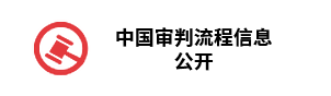 中国审判流程信息公开