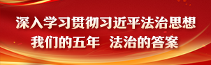 我们的五年 法治的答案