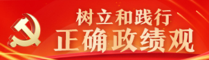 正确政绩观专题